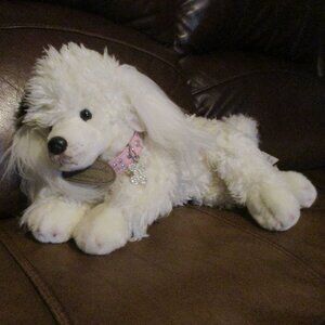 ❣️⬇️Yomiko Life Looking White Poodle